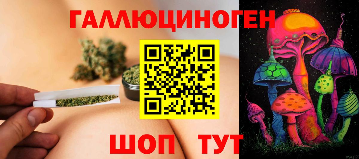 Псилоцибиновые грибы прущие грибы Усть-Джегута
